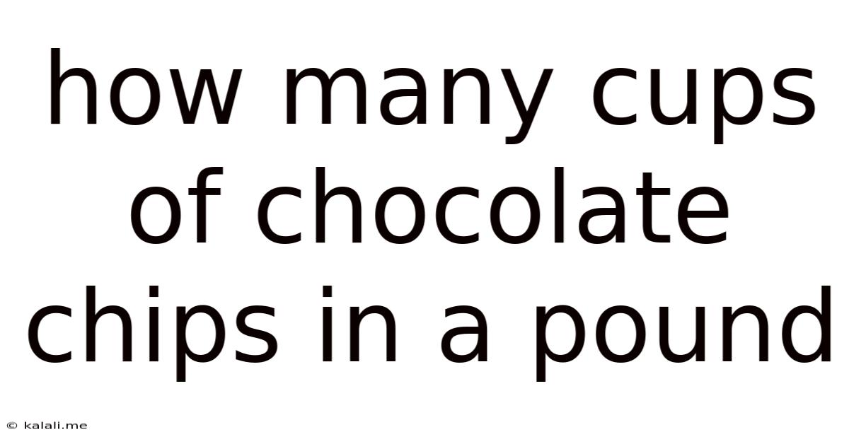How Many Cups Of Chocolate Chips In A Pound