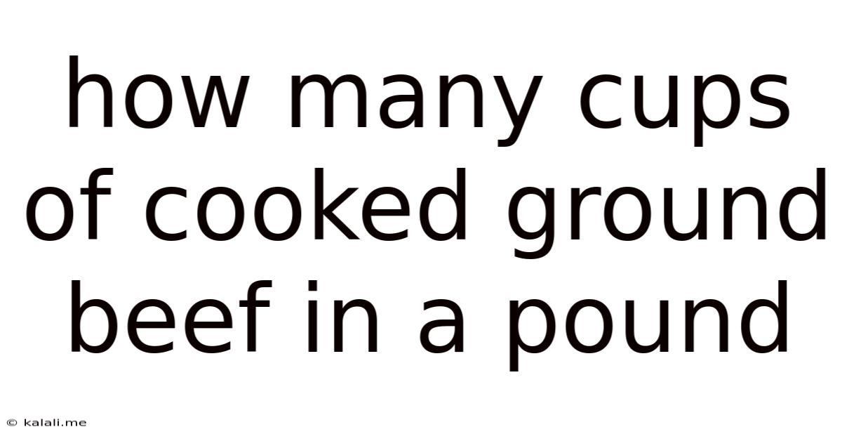 How Many Cups Of Cooked Ground Beef In A Pound