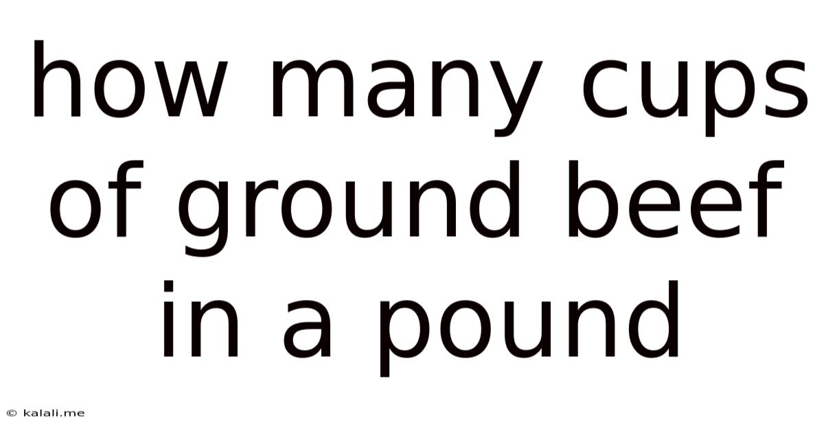 How Many Cups Of Ground Beef In A Pound