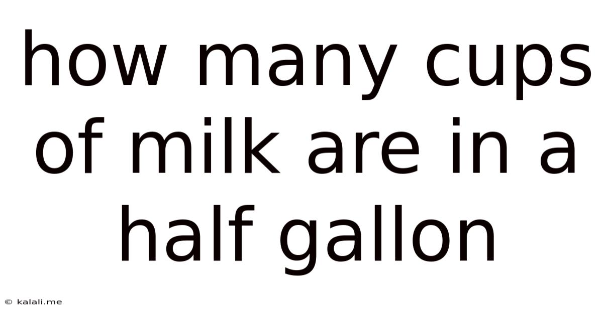 How Many Cups Of Milk Are In A Half Gallon