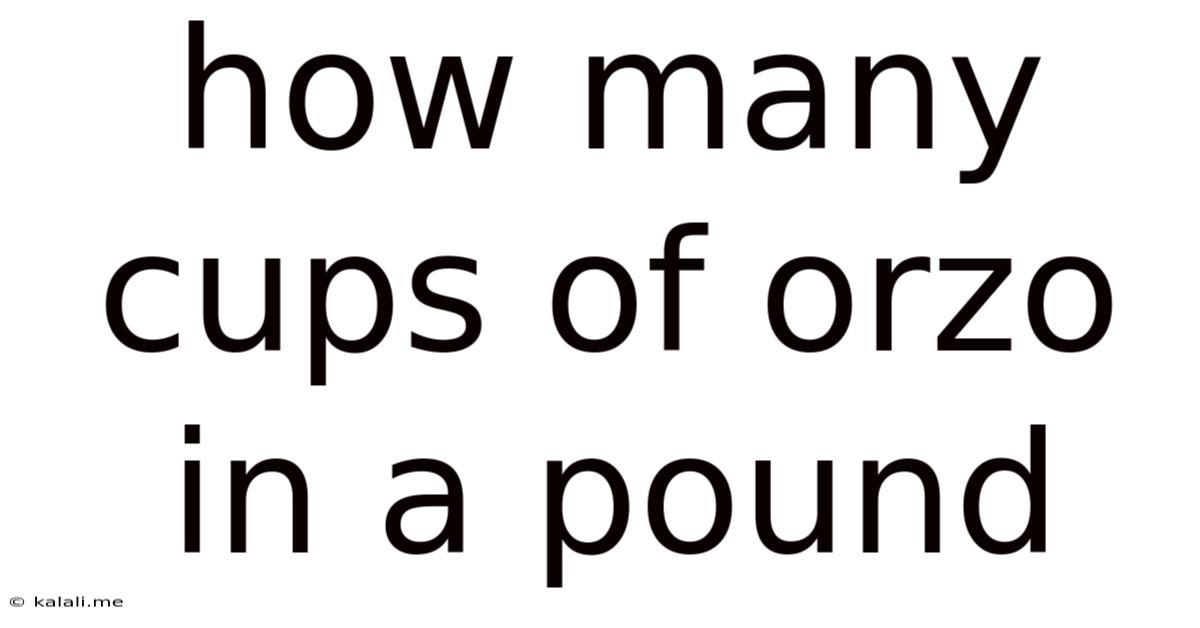 How Many Cups Of Orzo In A Pound