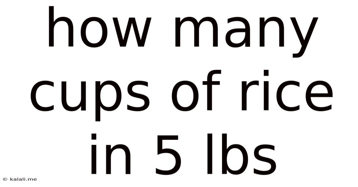 How Many Cups Of Rice In 5 Lbs