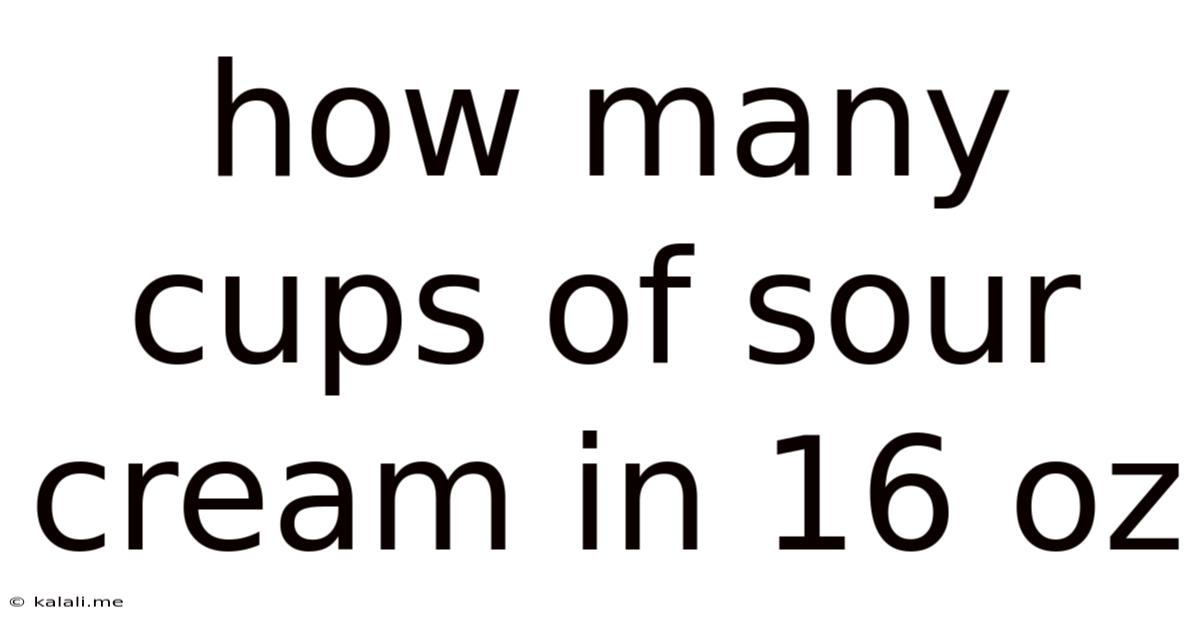 How Many Cups Of Sour Cream In 16 Oz