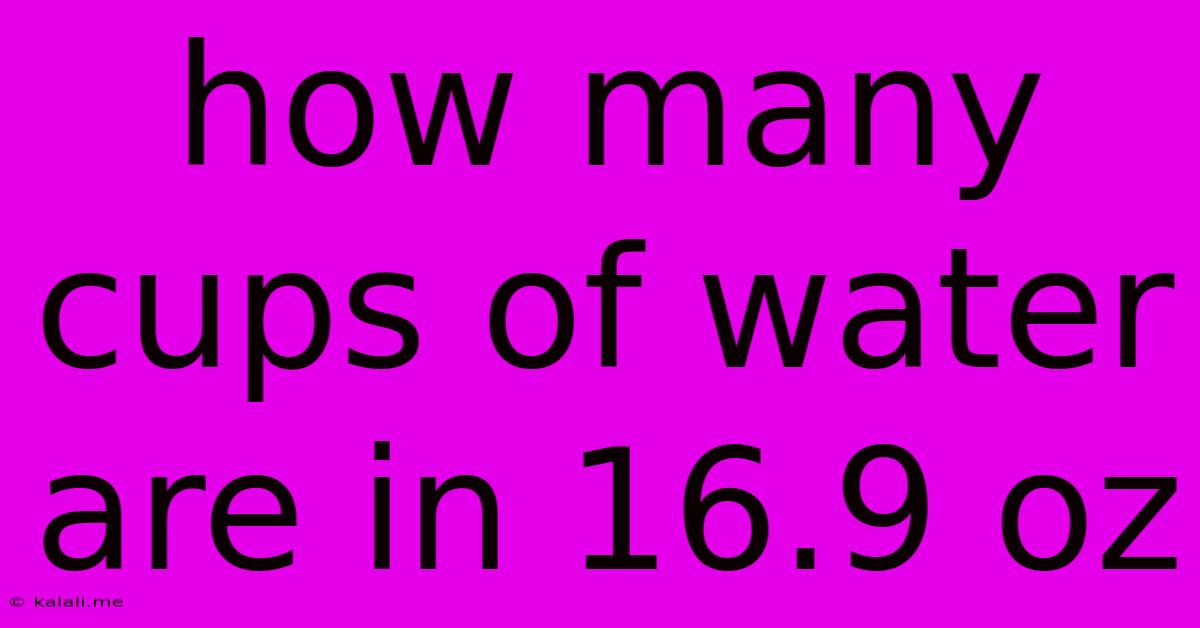 How Many Cups Of Water Are In 16.9 Oz