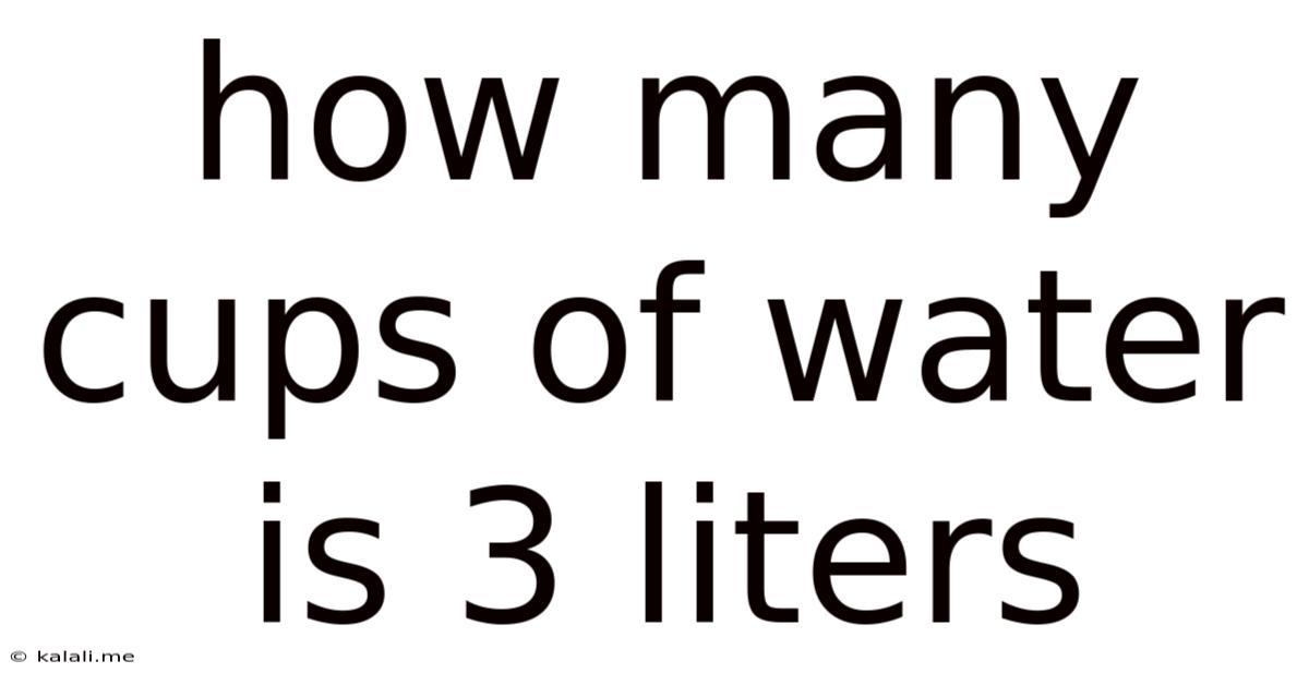 How Many Cups Of Water Is 3 Liters