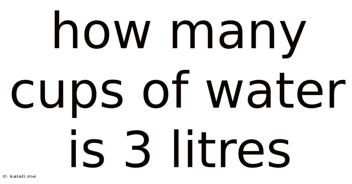How Many Cups Of Water Is 3 Litres