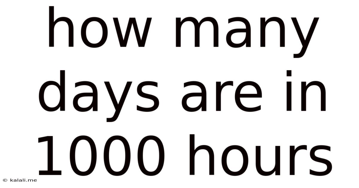 How Many Days Are In 1000 Hours