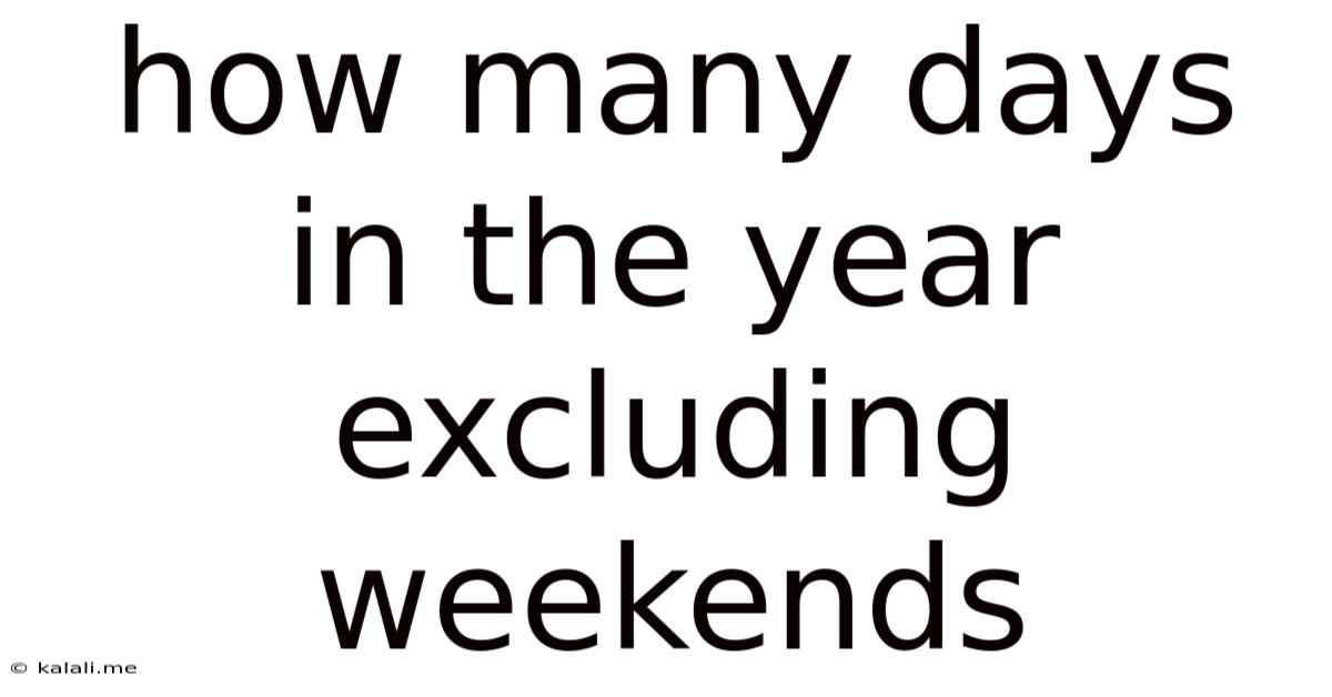 How Many Days In The Year Excluding Weekends