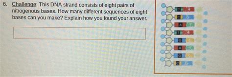 How Many Different Sequences Of 8 Bases Are Possible