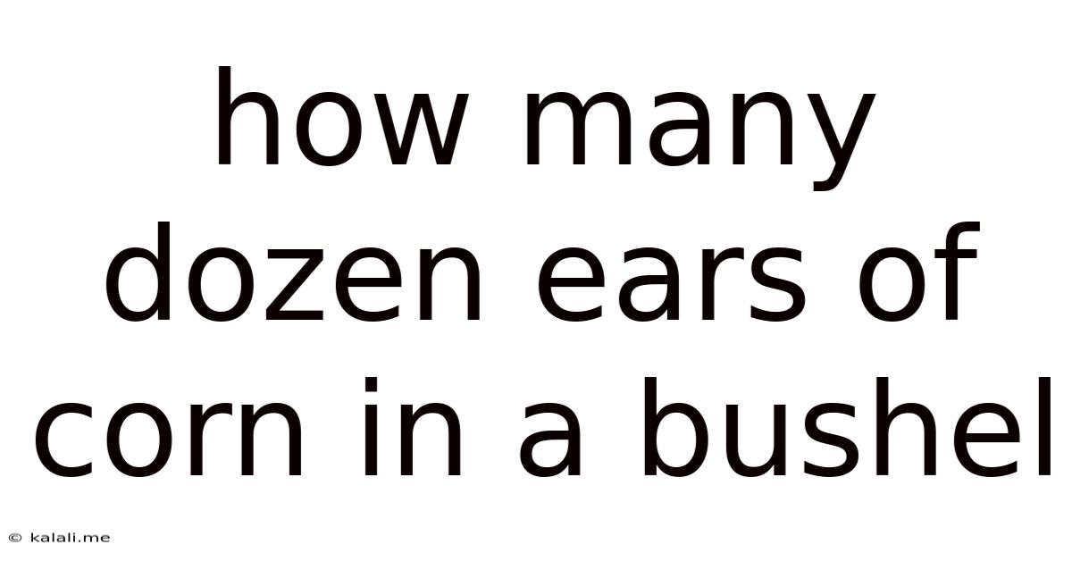 How Many Dozen Ears Of Corn In A Bushel