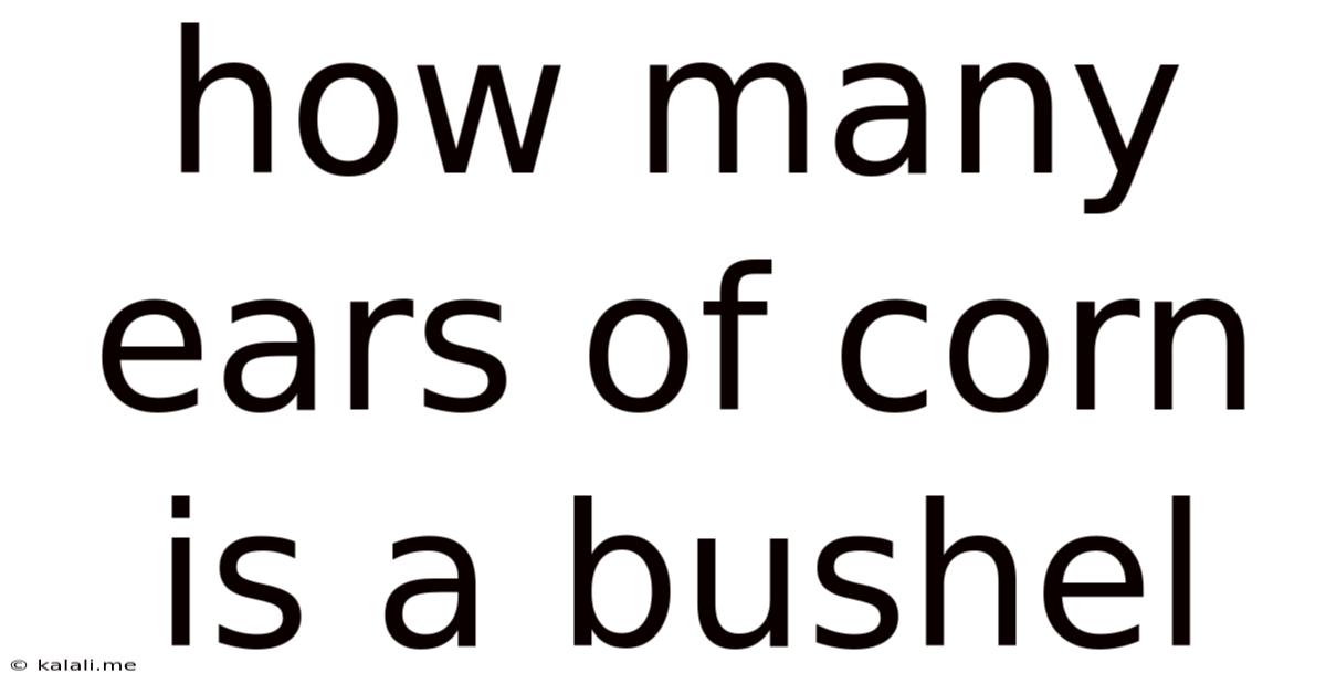 How Many Ears Of Corn Is A Bushel