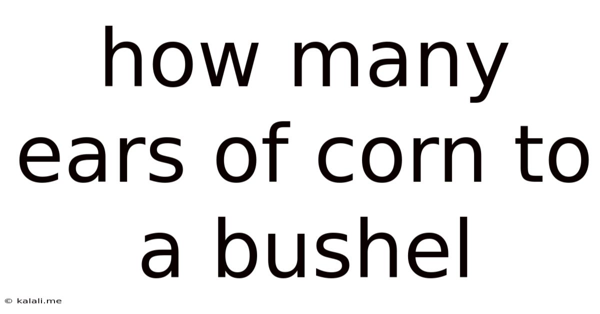 How Many Ears Of Corn To A Bushel