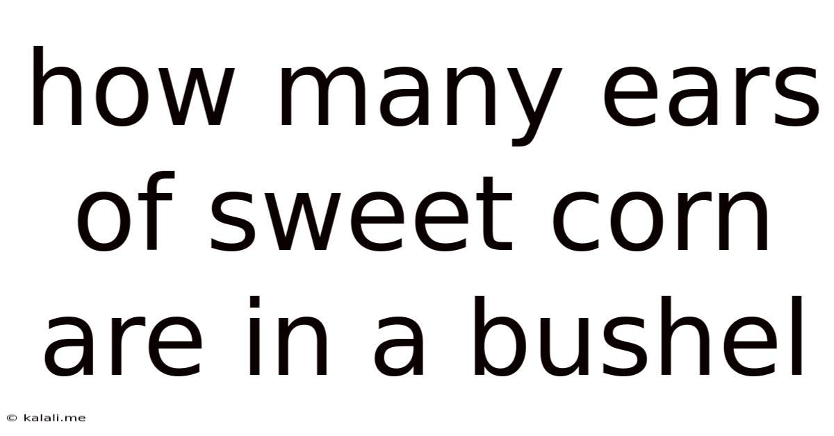 How Many Ears Of Sweet Corn Are In A Bushel
