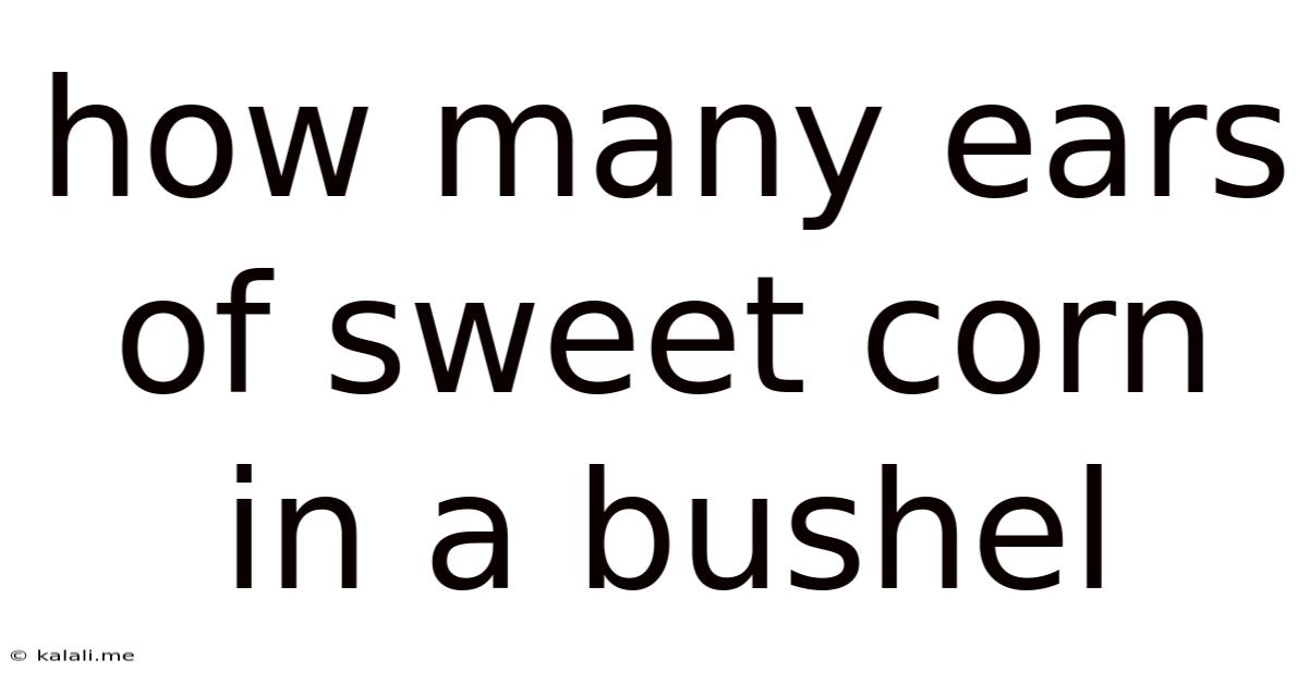 How Many Ears Of Sweet Corn In A Bushel