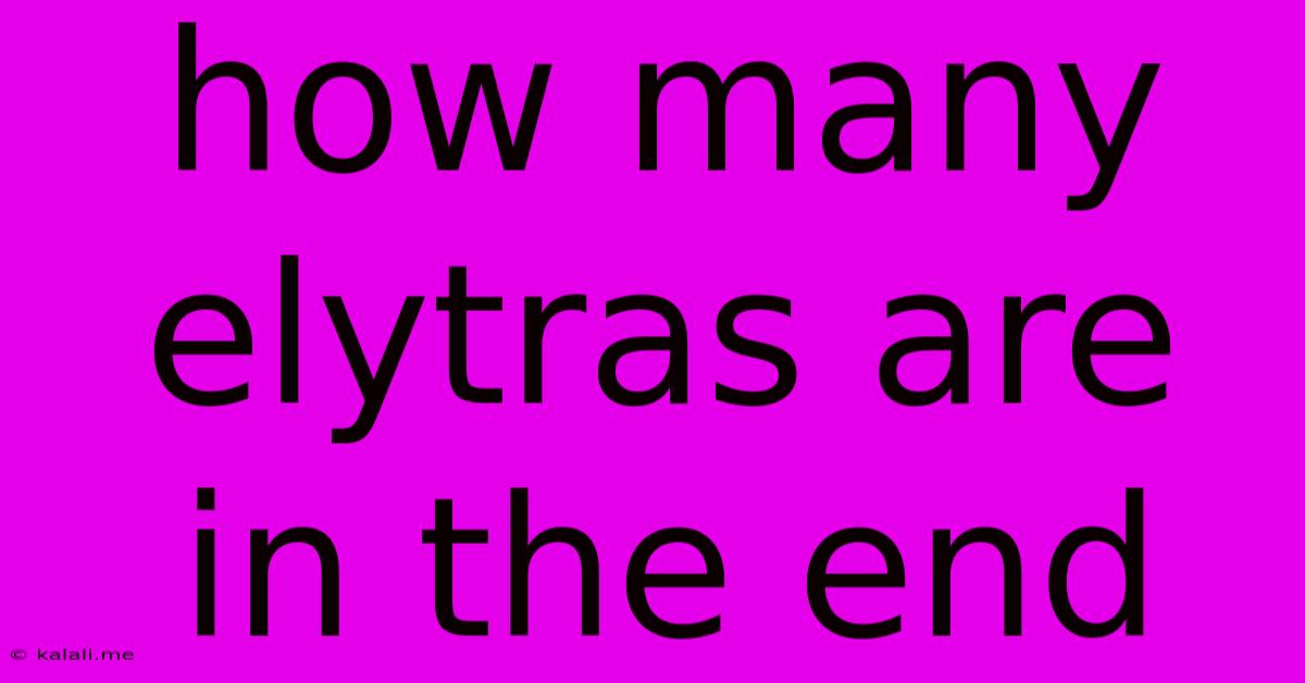 How Many Elytras Are In The End