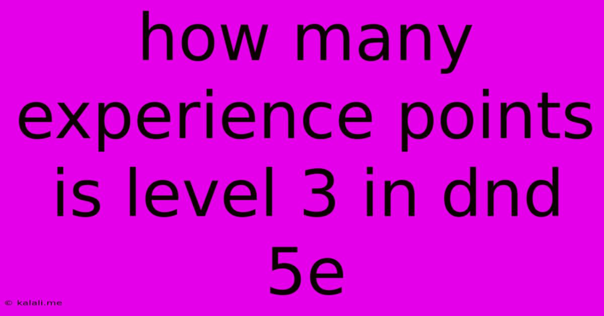 How Many Experience Points Is Level 3 In Dnd 5e