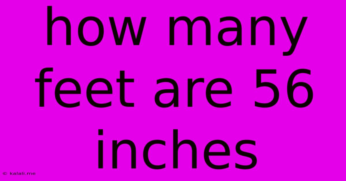 How Many Feet Are 56 Inches