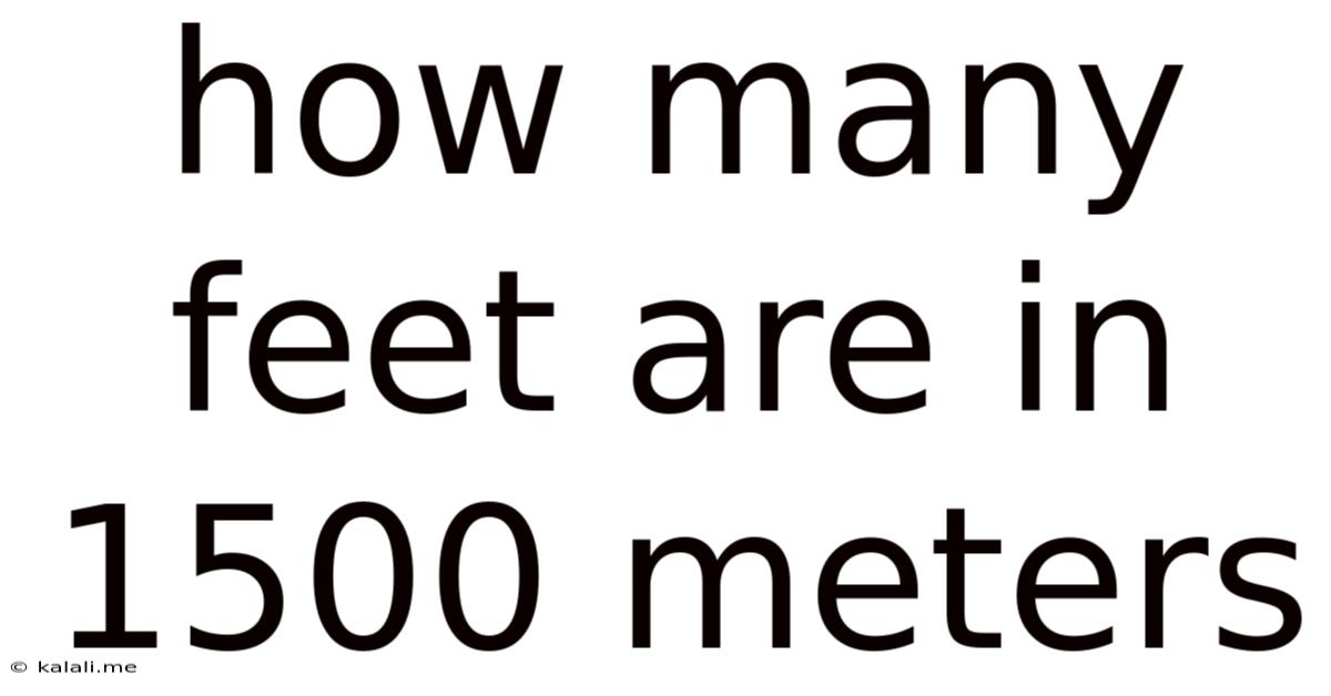 How Many Feet Are In 1500 Meters