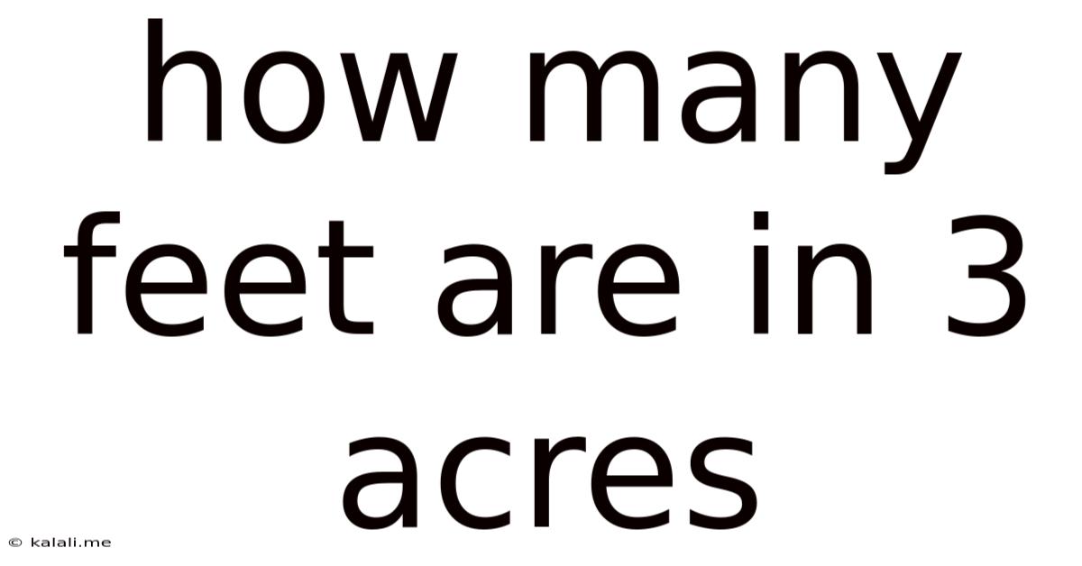 How Many Feet Are In 3 Acres