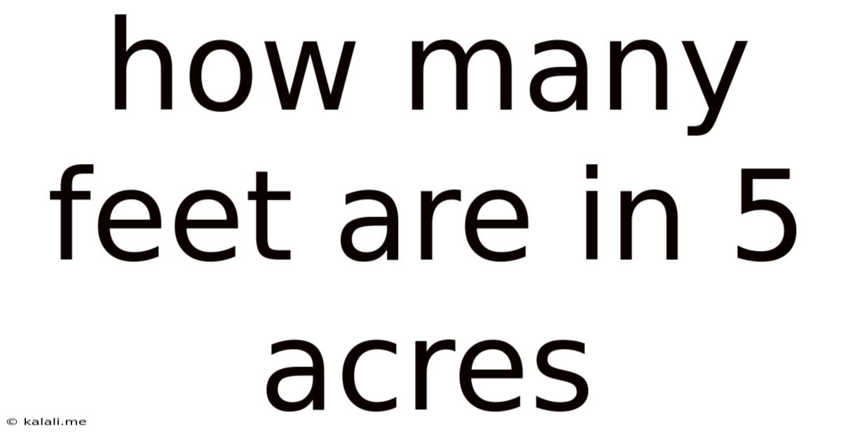 How Many Feet Are In 5 Acres