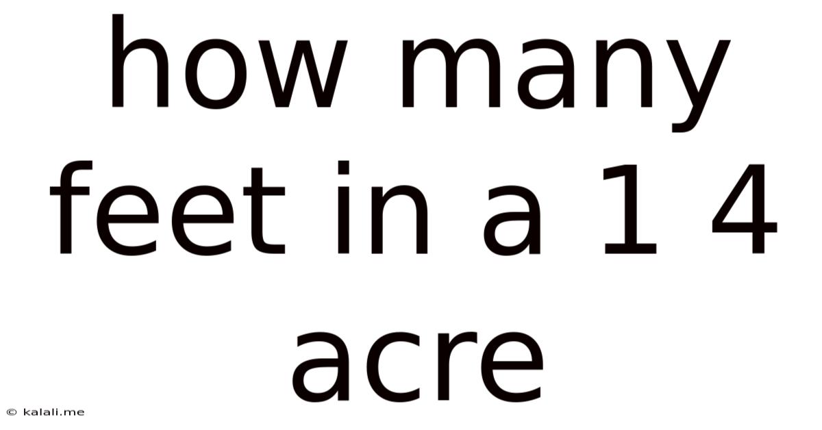 How Many Feet In A 1 4 Acre