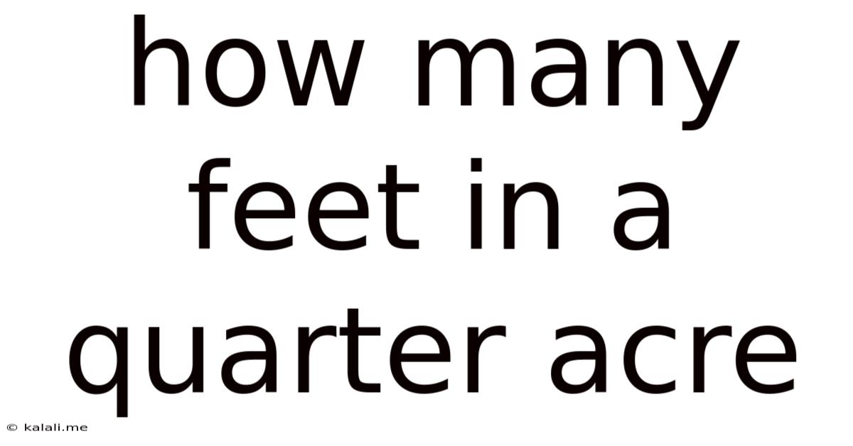 How Many Feet In A Quarter Acre