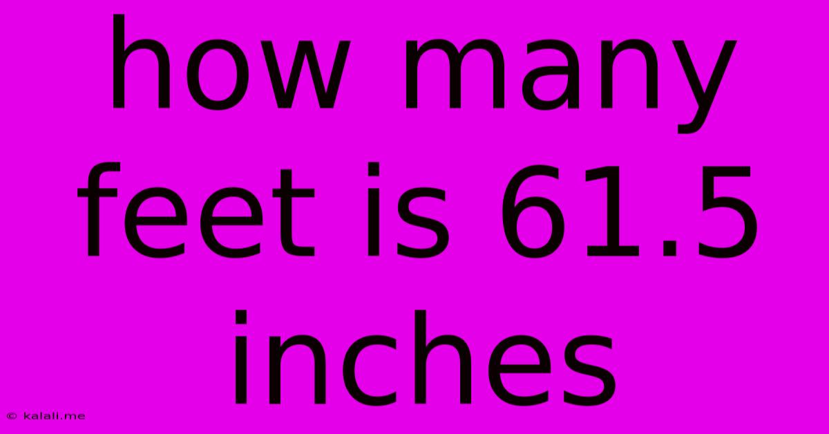 How Many Feet Is 61.5 Inches