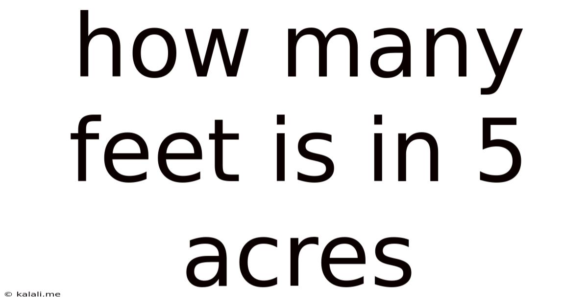 How Many Feet Is In 5 Acres