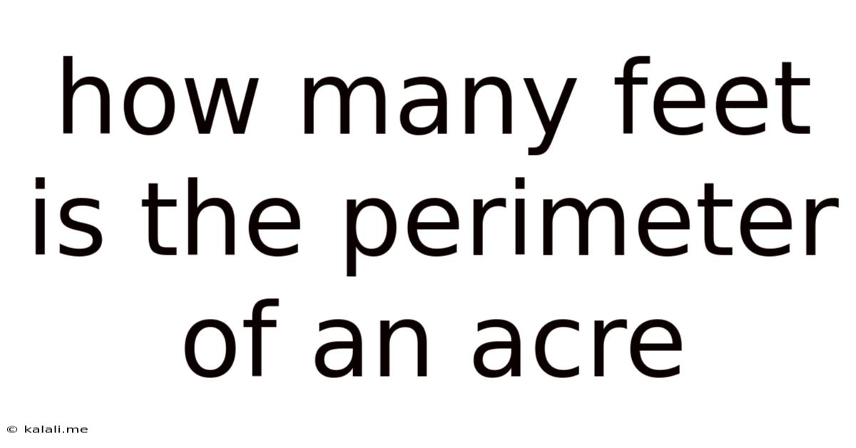 How Many Feet Is The Perimeter Of An Acre