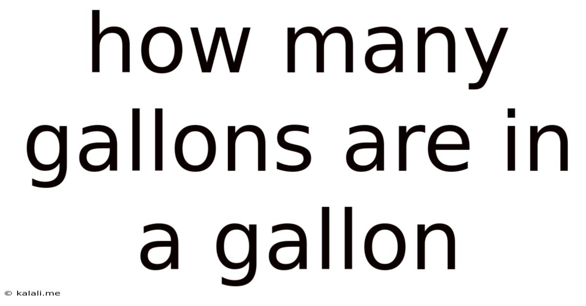 How Many Gallons Are In A Gallon