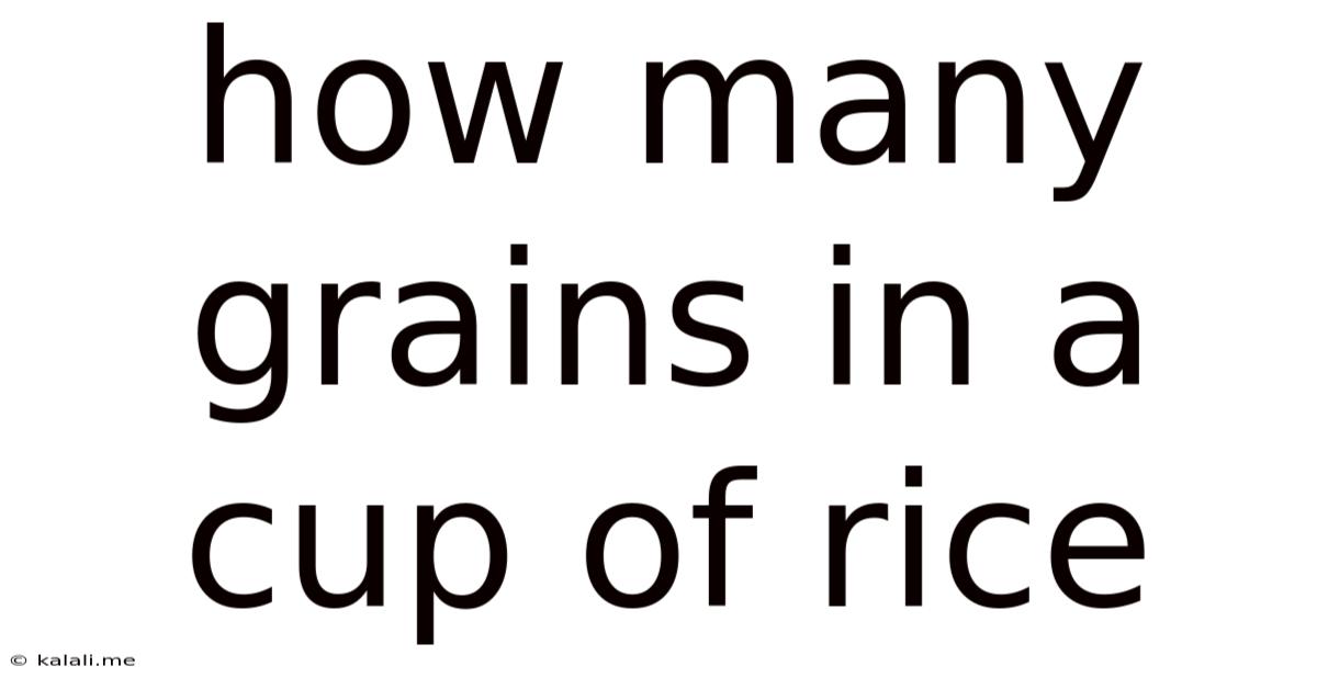 How Many Grains In A Cup Of Rice