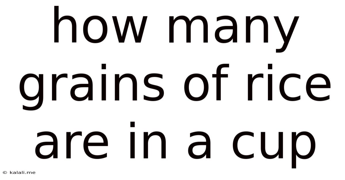 How Many Grains Of Rice Are In A Cup