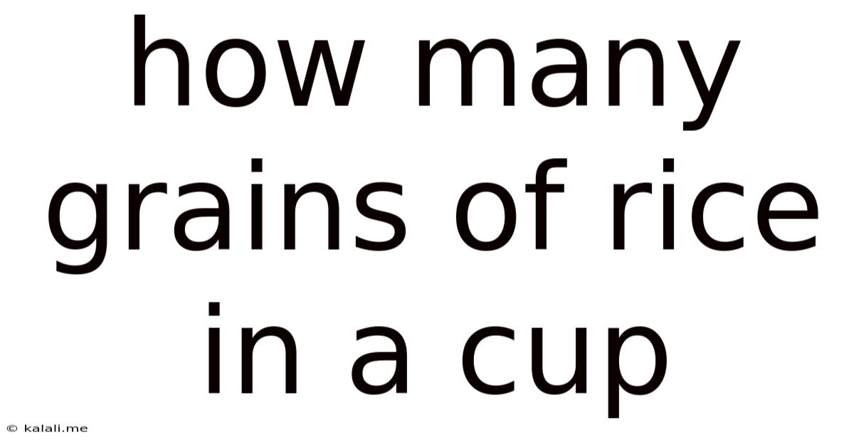 How Many Grains Of Rice In A Cup