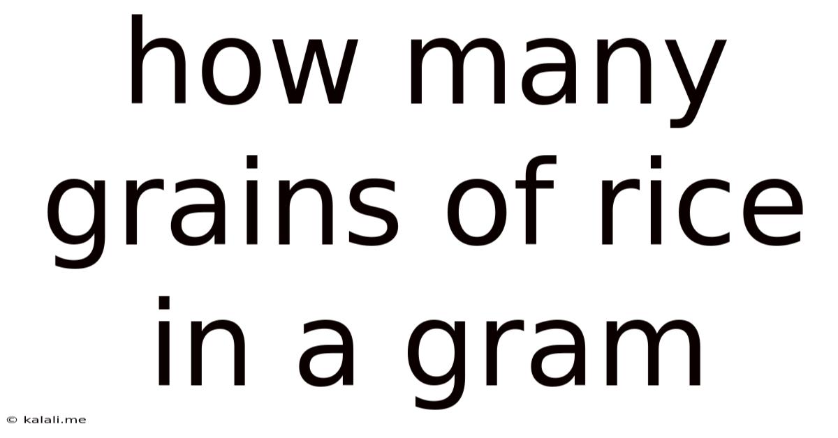 How Many Grains Of Rice In A Gram