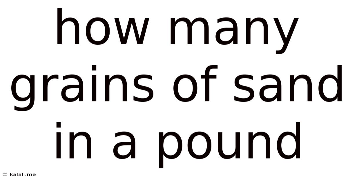 How Many Grains Of Sand In A Pound