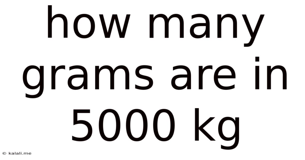 How Many Grams Are In 5000 Kg