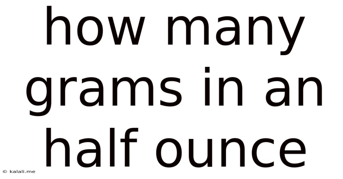 How Many Grams In An Half Ounce
