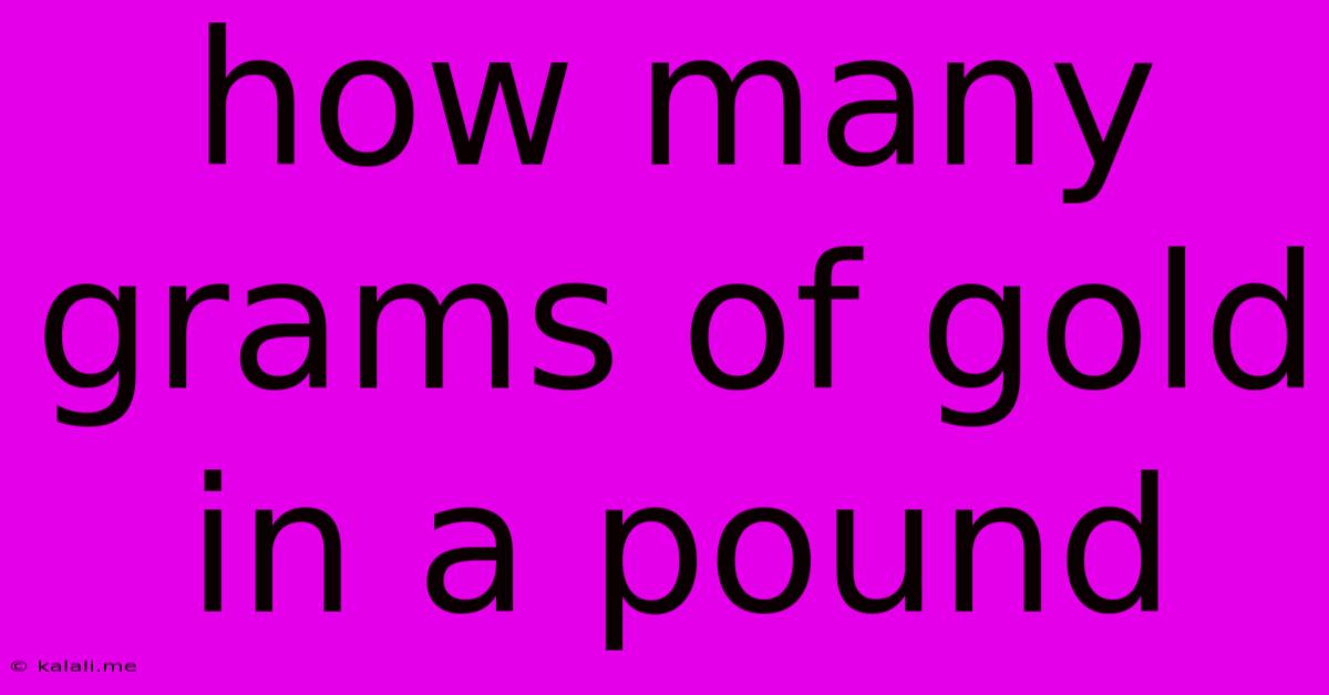 How Many Grams Of Gold In A Pound