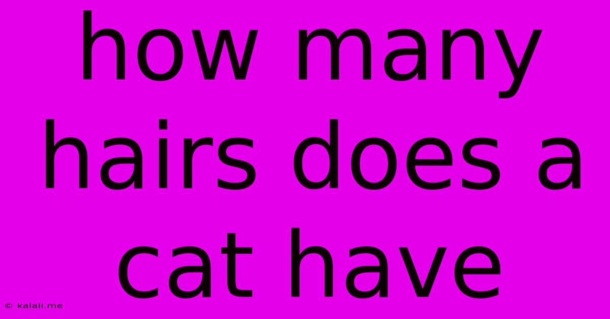 How Many Hairs Does A Cat Have