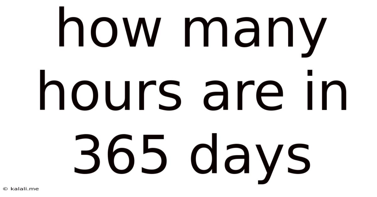 How Many Hours Are In 365 Days
