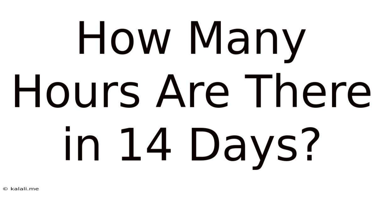 How Many Hours Are There In 14 Days?
