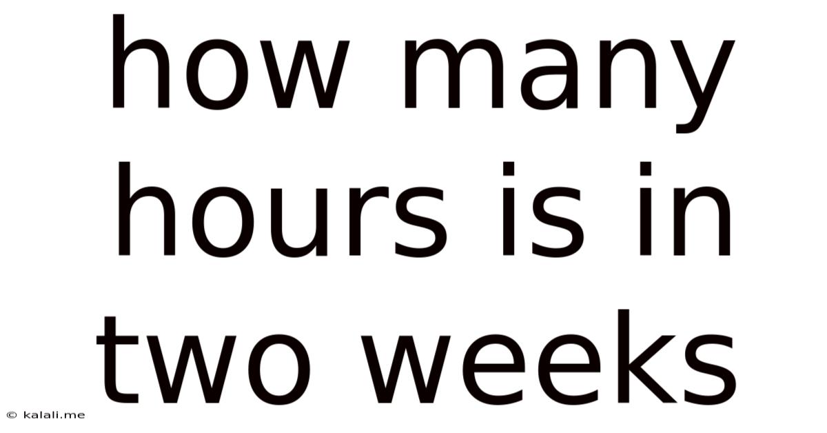 How Many Hours Is In Two Weeks