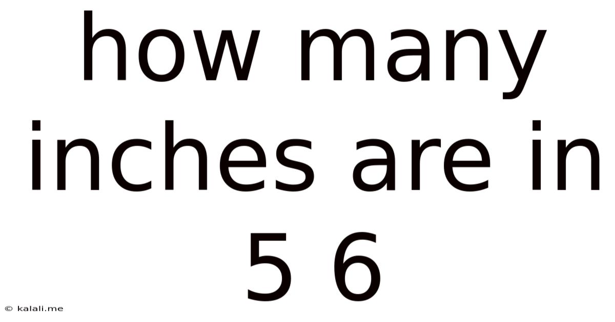 How Many Inches Are In 5 6