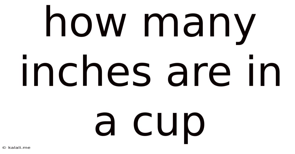 How Many Inches Are In A Cup