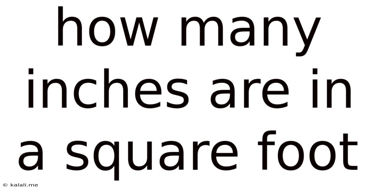 How Many Inches Are In A Square Foot