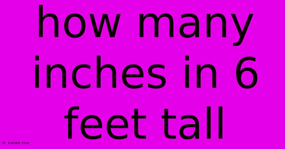 How Many Inches In 6 Feet Tall
