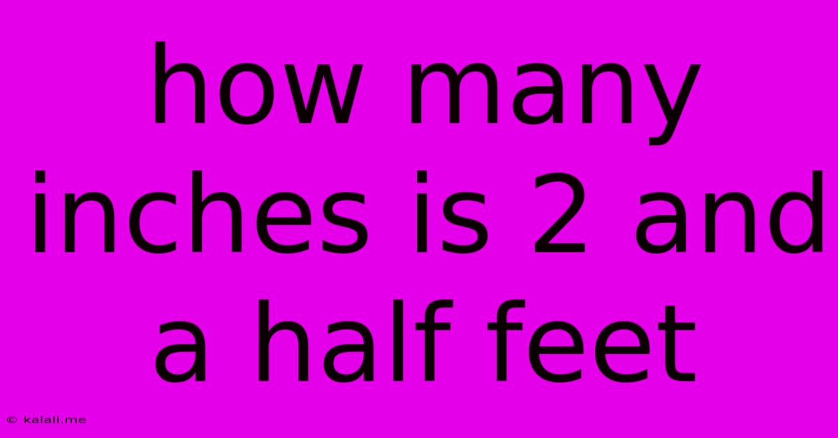 How Many Inches Is 2 And A Half Feet