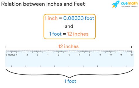 How Many Inches Is 20 Feet