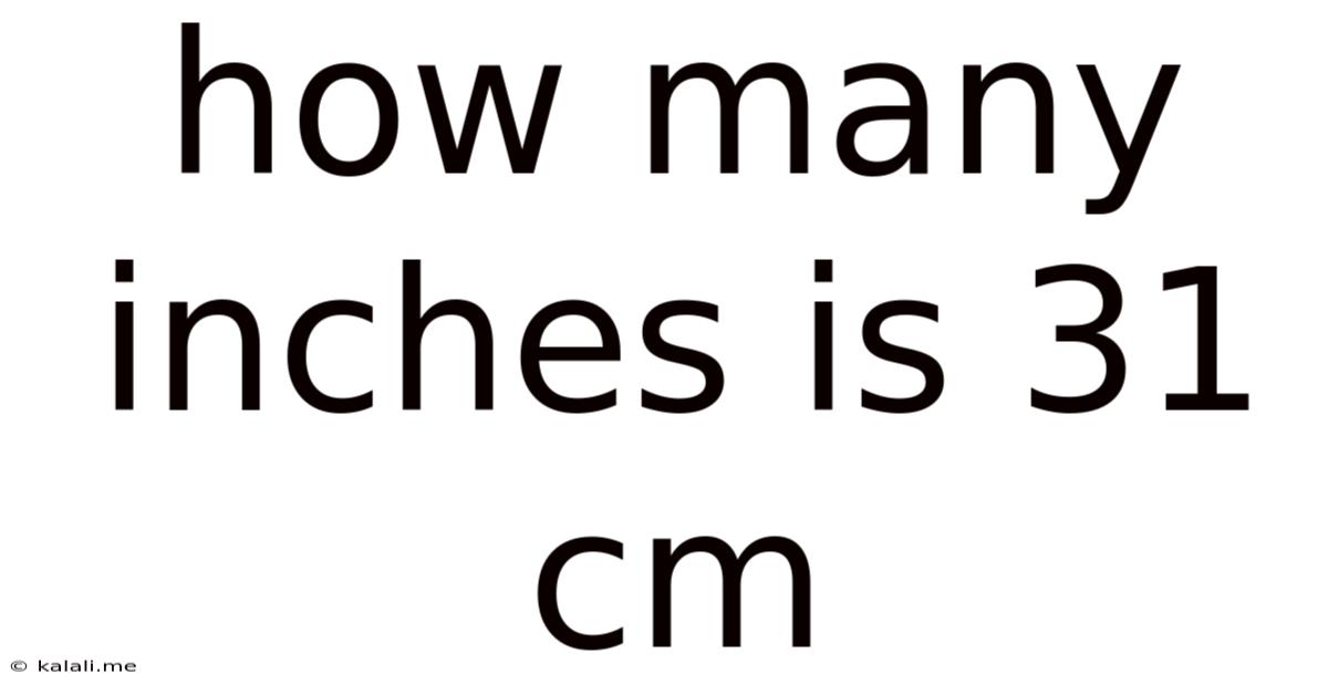 How Many Inches Is 31 Cm