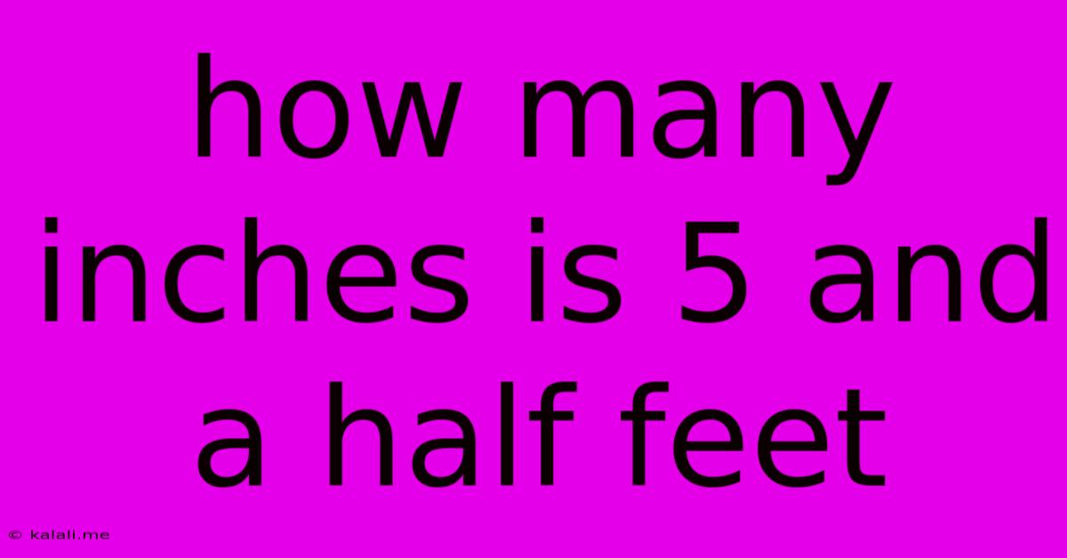 How Many Inches Is 5 And A Half Feet
